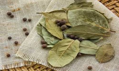 Hoja de laurel Beneficios