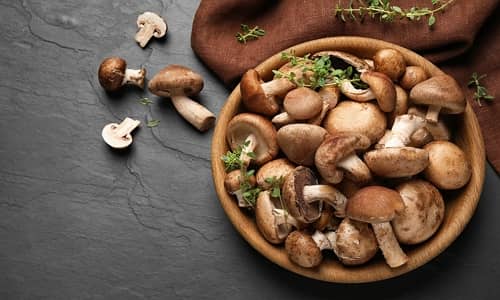 Hongo shiitake Beneficios