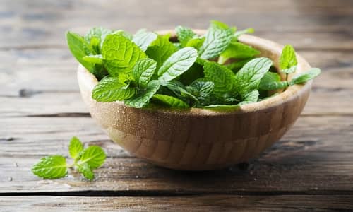 Menta Beneficios