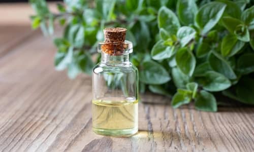 Aceite de oregano Beneficios