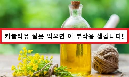 Aceite de canola Beneficios