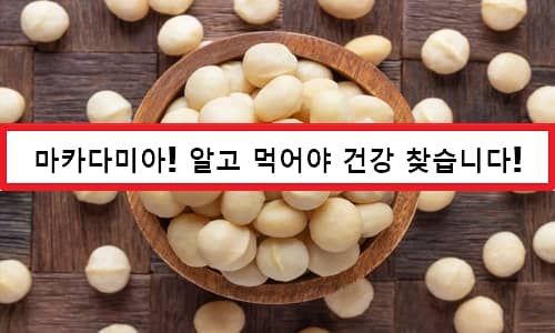 Macadamia Beneficios