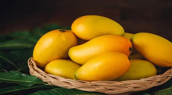 Mango Beneficios