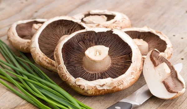 Agaricus bisporus Beneficios